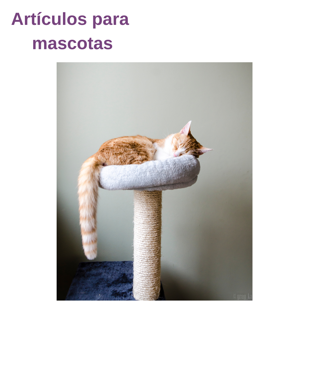 Artículos para mascotas