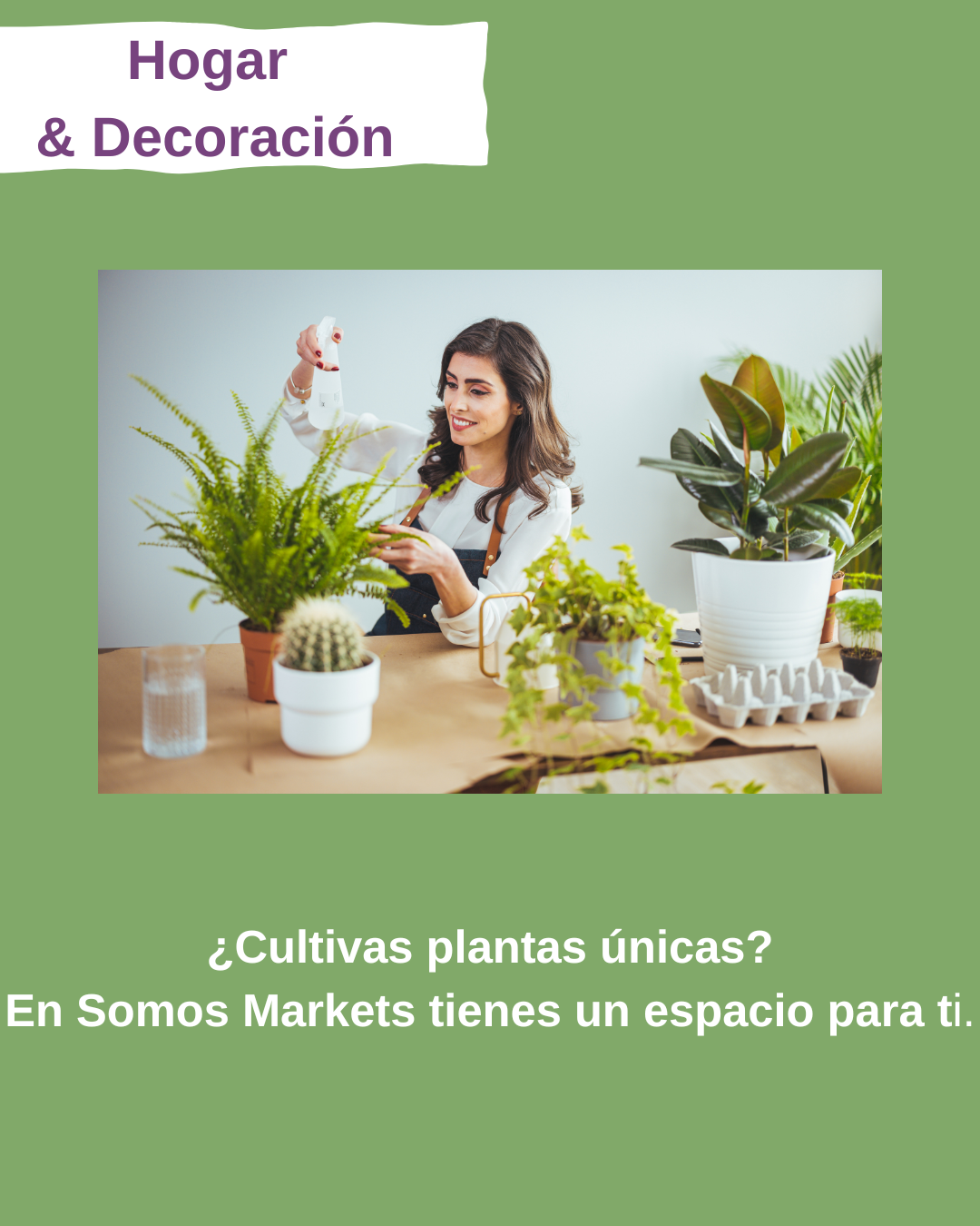 Hogar y Decoración