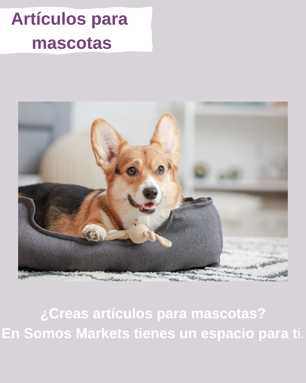 Artículos para mascotas