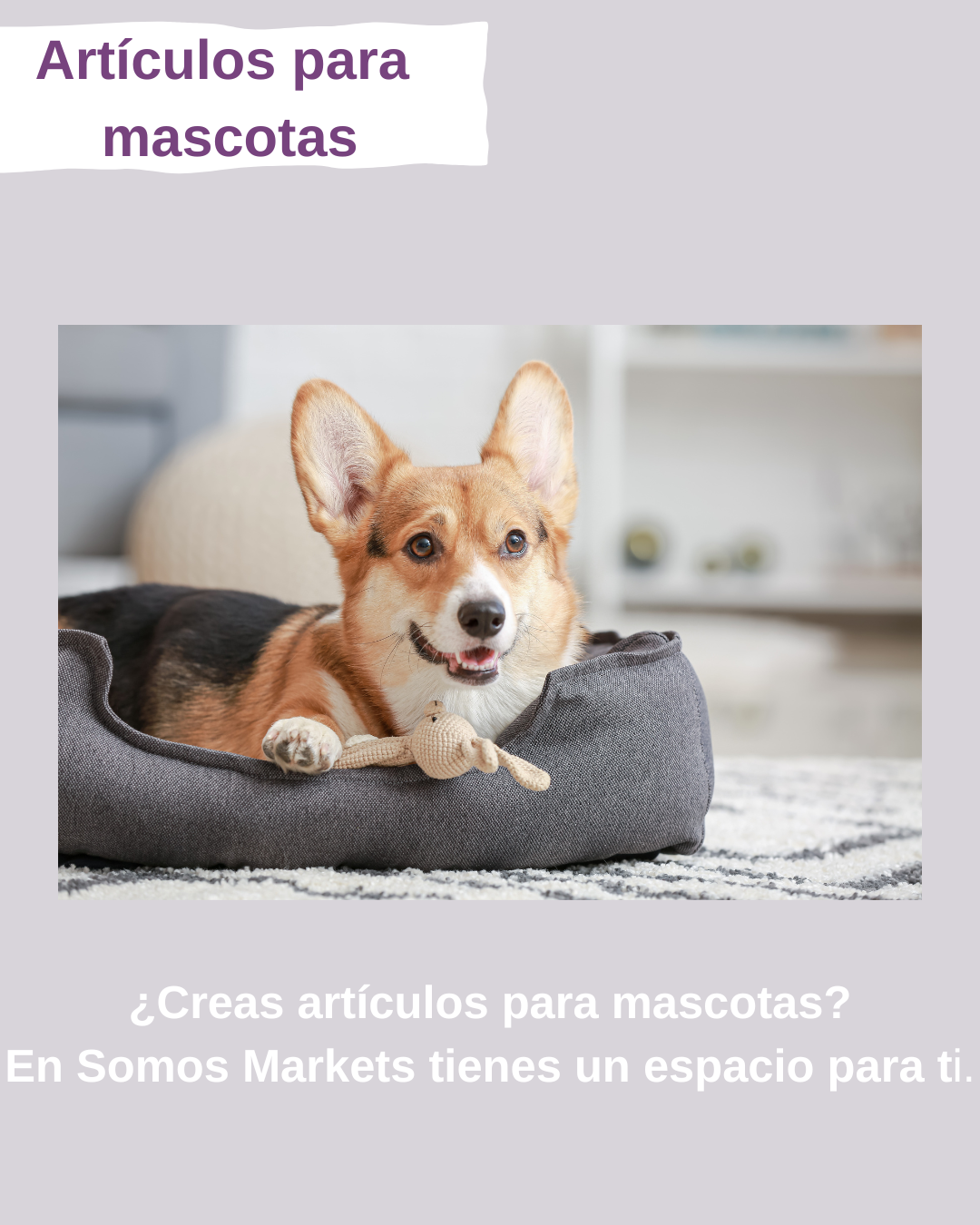 Artículos para mascotas