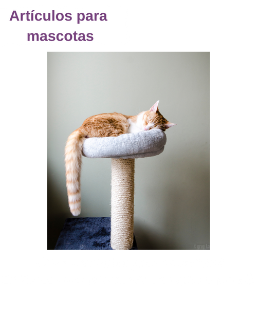 Artículos para mascotas
