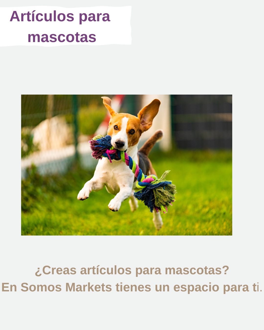 Artículos para mascotas