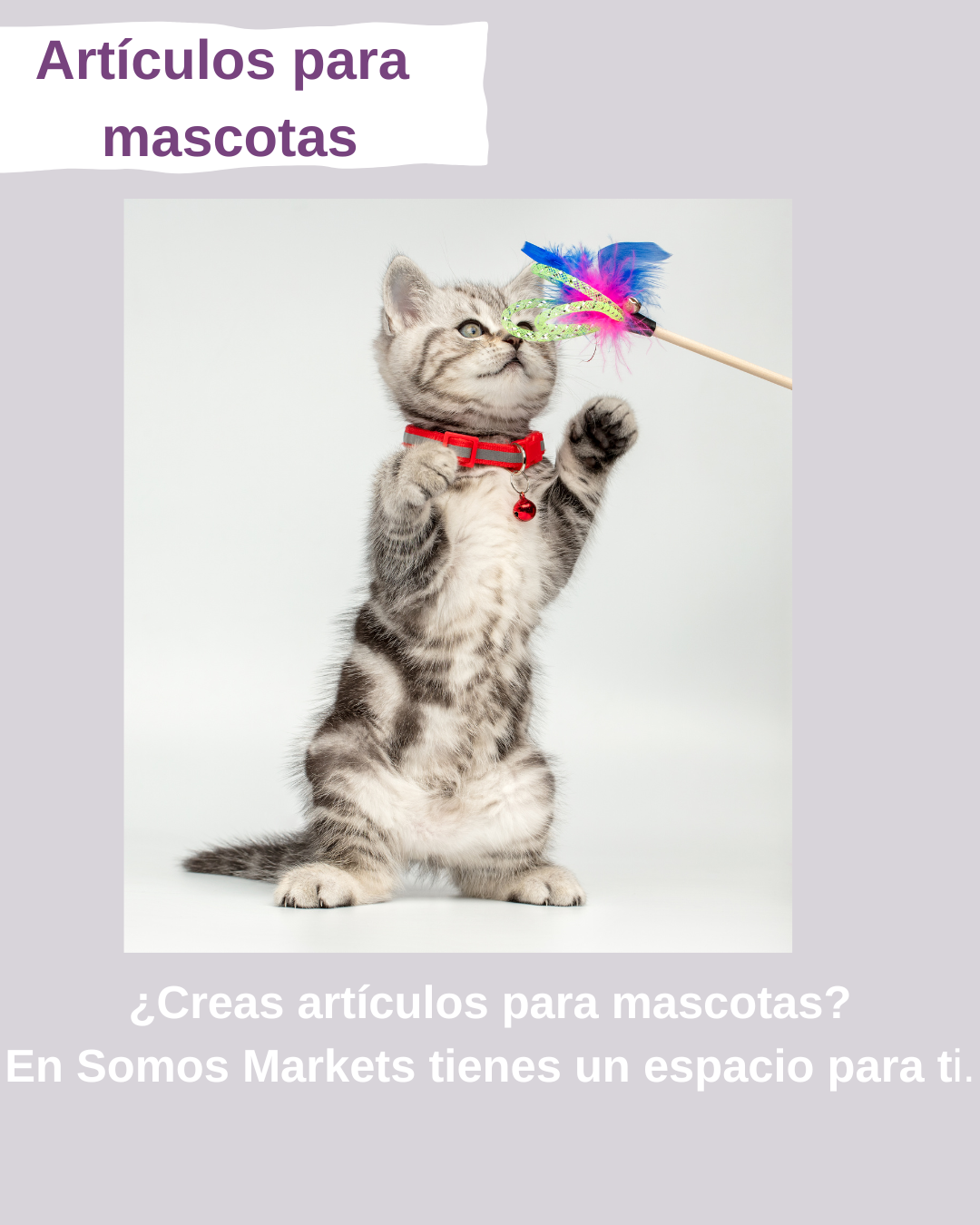 Artículos para mascotas